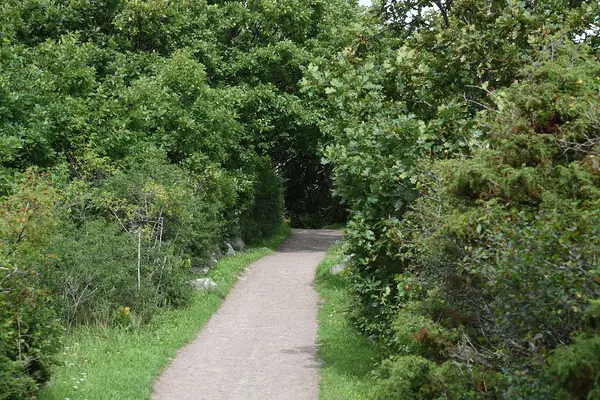 Jungfruviken